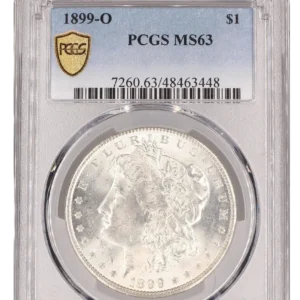 États Unis -  1 dollar Morgan 1899 O MS63