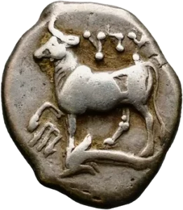 Génisse passant à gauche.