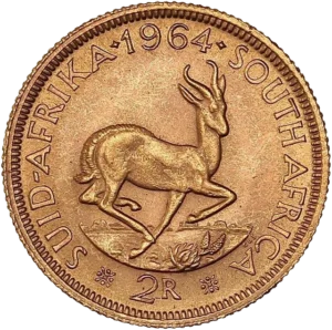 Springbok (Antilope) bondissant à droite.