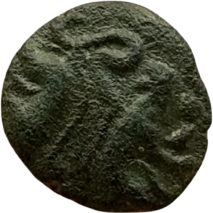 Deux sangliers affrontés dos à dos ; au milieu, trois annelets ; à droite un bucrane et à gauche une esse.