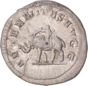 Cornac montant un éléphant.