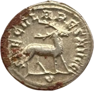 Cornac montant un éléphant.