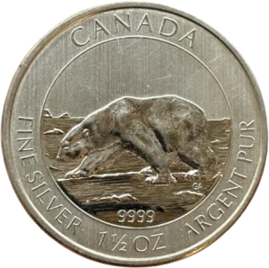 Un ours polaire dans son habitat naturel.