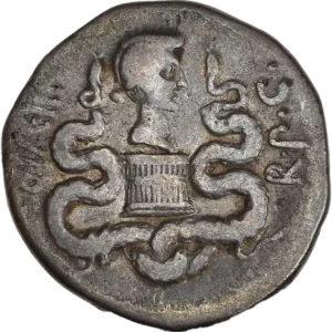 Tête nue d’Octavie à droite, posée sur la ciste mystique entourée de deux serpents.