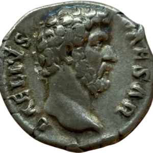 Tête nue d'Aelius à droite.