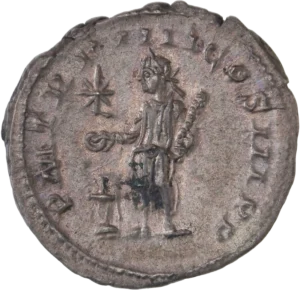 L'empereur en habits religieux, sacrifiant au dessus d'un autel enflammé. Au dessus de lui, une étoile semblant symboliser la pierre noire.