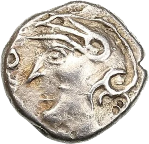 Tête caquée à gauche.