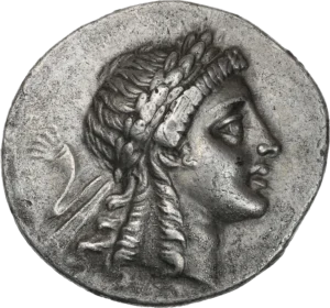 Tête d'Apollon Grynion laurée et diadémée à droite, les cheveux longs tombant sur le cou.