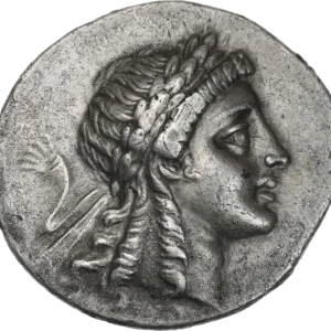 Tête d'Apollon Grynion laurée et diadémée à droite, les cheveux longs tombant sur le cou.