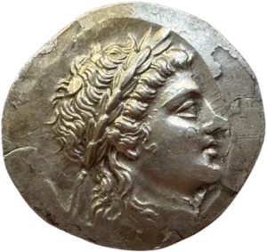 Tête d'Apollon Grynion laurée et diadémée à droite, les cheveux longs tombant sur le cou.