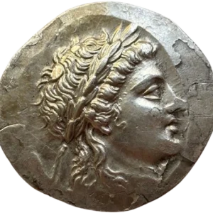 Tête d'Apollon Grynion laurée et diadémée à droite, les cheveux longs tombant sur le cou.