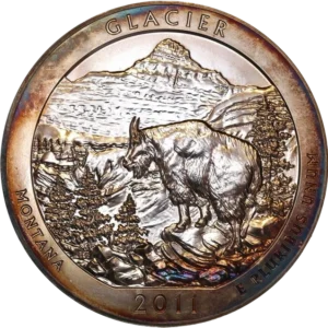 Bouquetin dans son milieu naturel (Parc National des Glaciers du Montana).