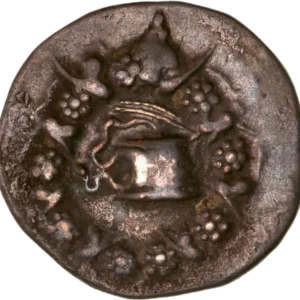 ciste d'ou sort un serpent entouré d'une couronne végétale.