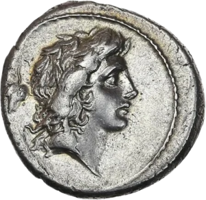 Tête masculine juvénile (Bonus Eventus) à droite, les cheveux longs ; derrière la tête, une grappe de raisin ou feuille d'acanthe?