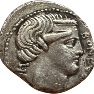 Tête diadémée de Bonus Eventus à droite.