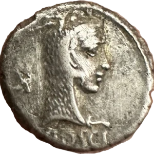 Tête de Junon Sospita à droite, coiffée de la peau de chèvre. derrière le portrait un symbole.