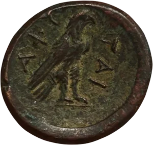 Tête cornue de Zeus-Ammon à droite.