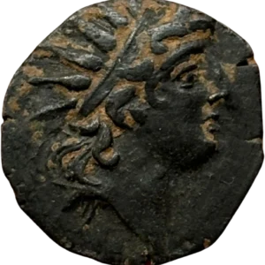 Tête diadémée de Démétrius Ier à droite.