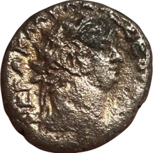 Tête nue de Néron à droite.